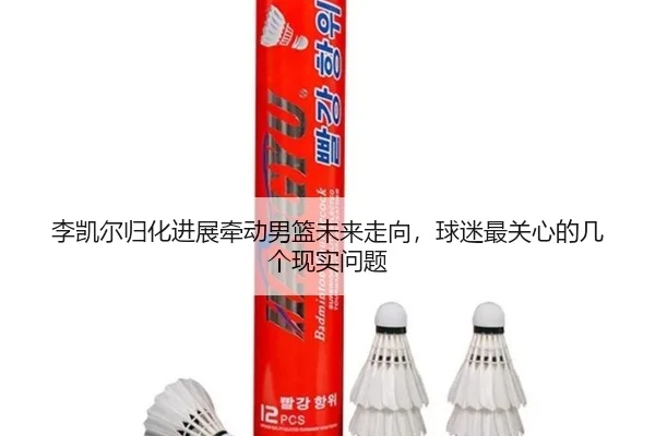 李凯尔归化进展牵动男篮未来走向，球迷最关心的几个现实问题